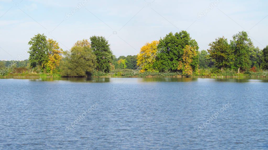 green and yellow trees on the bank of a pond in autumn in Poodri, Czech Republic