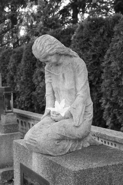 Escultura Mulher Luto Com Uma Flor Colo Cemitério Albrechticky República — Fotografia de Stock