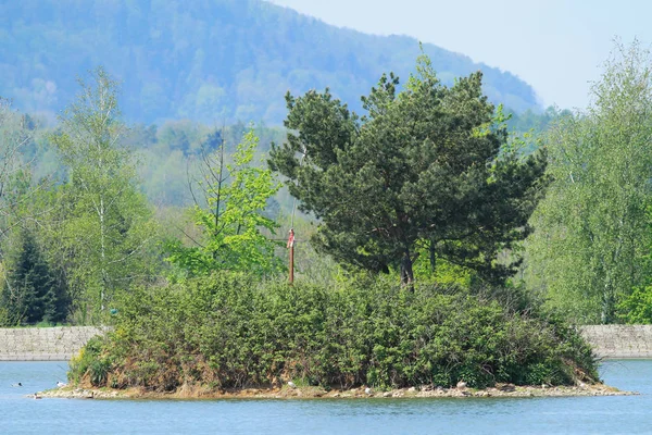 Isla Presa Baska Refugio Aves Acuáticas República Checa —  Fotos de Stock