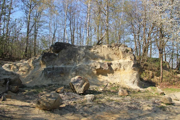 Abandoned Sand Pit Creating Interesting Environment Hodonovice Czech Republic — Stock Photo, Image