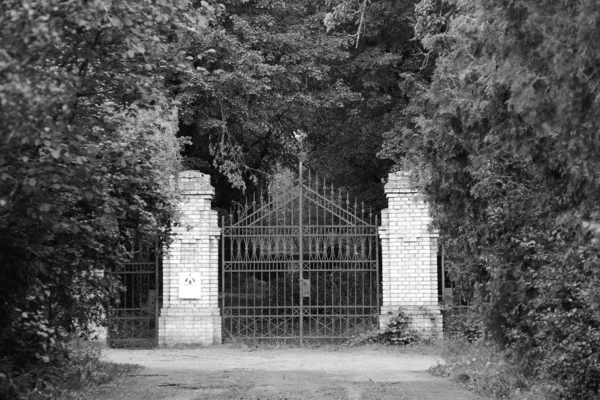 Black White Photo Gate Old Cemetery Insane People Prague Czech — Stock Photo, Image