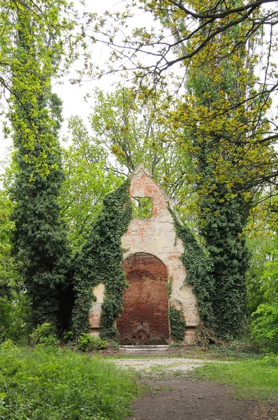 Rovine Cappella Sul Vecchio Cimitero Pazzi Con Crescita Edera Praga — Foto Stock