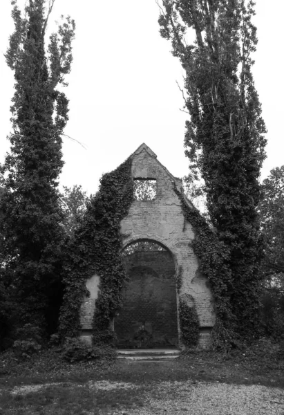 프라하 체코에서 담쟁이 덩굴의 성장과 사람들을위한 오래된 묘지에 예배당의 — 스톡 사진