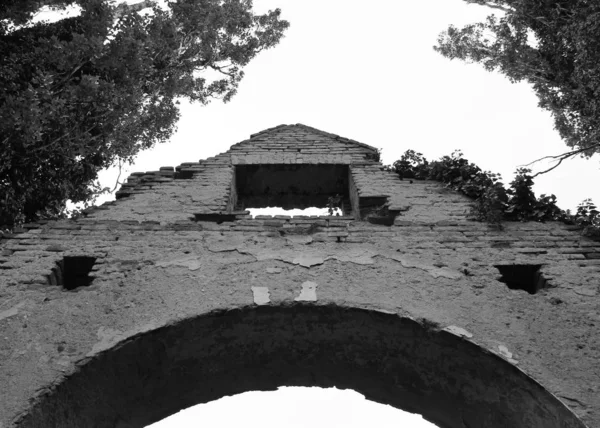 Ruins Chapel Old Cemetery Insane People Growth Ivy Prague Czech — Stock Photo, Image