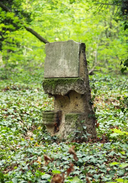 Náhrobní Kámen Starém Hřbitově Pro Šílené Lidi Růstem Břečťanu Praze — Stock fotografie