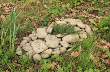 mound of stones decorated with a coniferous twig on the grave of a pet clipart