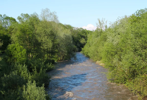 Річка Морака Протікає Крізь Зелені Ліси Влітку Чехія — стокове фото