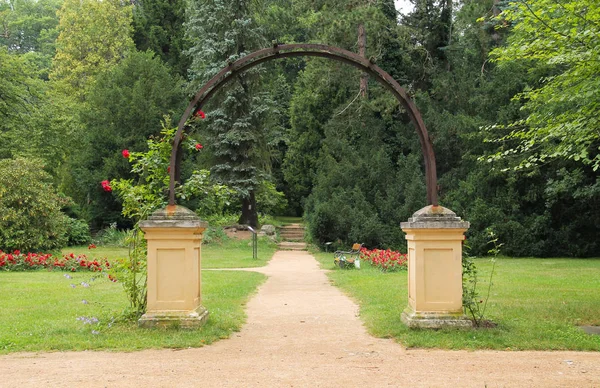 Dekoratív Virágokkal Parkban Zruc Nad Sazavou Cseh Köztársaság — Stock Fotó