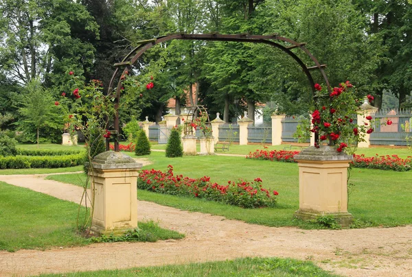 Dekoratív Virágokkal Parkban Zruc Nad Sazavou Cseh Köztársaság — Stock Fotó