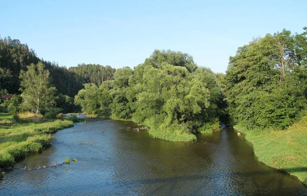 Sazava Rivier Met Een Eiland Met Enkele Bomen Zomer Tsjechië — Stockfoto