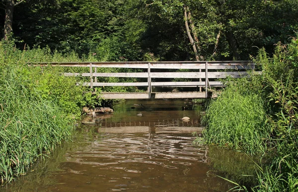 Holzsteg Über Den Bach — Stockfoto