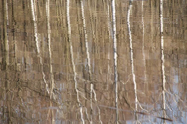 Reflecties Van Boomstammen Het Wateroppervlak Abstracte Achtergrond — Stockfoto