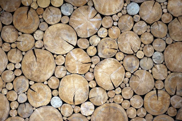 a wall of wood circle