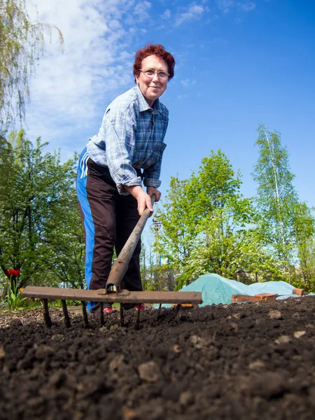 Voronezh Ryssland Maj 2016 Äldre Kvinna Lös Jord Rake — Stockfoto