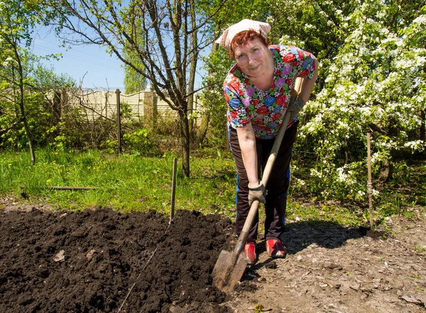 Voronezj Rusland Mei 2016 Een Oudere Vrouw Graven Tuin — Stockfoto
