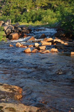 Kola Yarımadası'ndaki akıntılar