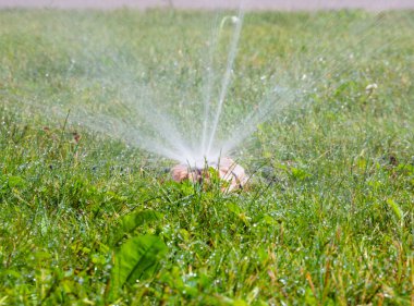 Çalışma koşullarında parkın fıskiye fıskiye sistemi