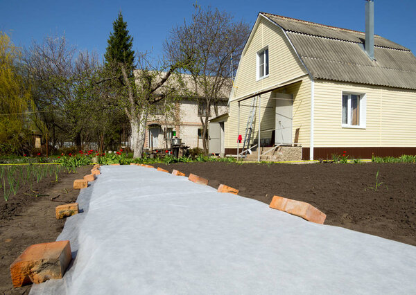Voronezh, Russia - April 30, 2017: Seedbed covered with cover material in the garden plot