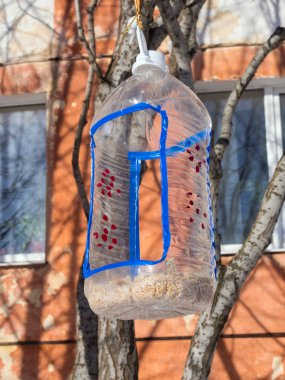 Büyük plastik şişeden yapılmış bir kuş besleyicisi