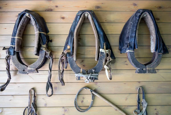 Braçadeiras Outros Acessórios Para Transporte Cavalos — Fotografia de Stock