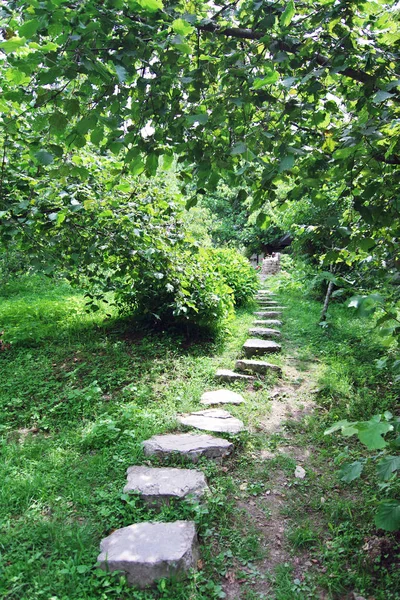 夏季花园中的石头之路 — 图库照片