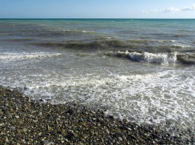 Karadeniz'in kıyı şeridinde kirli su