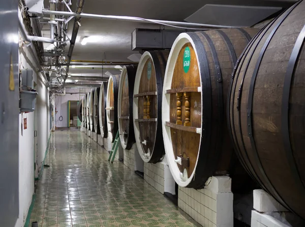 Massandra Crimea November 2015 Barrels Wine Shop Shutter Speed Processing — Stock Photo, Image