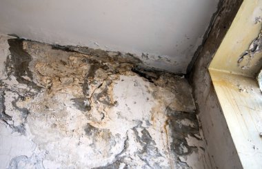 Oturma odasında ki açı, yüzme ve küf izleri ile