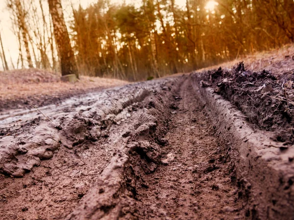 Track Mud Village Dirt Road — Stock Photo, Image