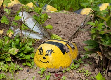 Plastik şişe kanatları ile küçük bir taştan arı