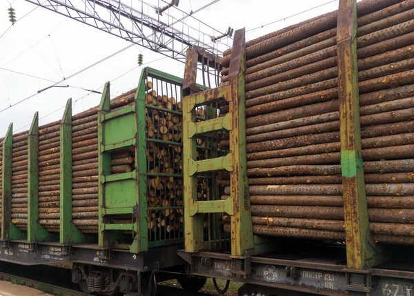 Murmansk Rusia Junio 2018 Transporte Forestal Por Ferrocarril — Foto de Stock