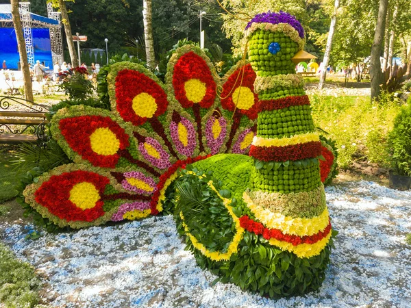 Voronej, Rusya - 30 Ağustos 2018: Taze çiçeklerden yapılmış tavus kuşu figürü