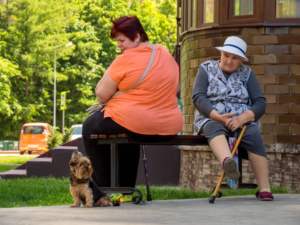 Voronezh Rusia Mayo 2019 Dos Mujeres Con Perro Pequeño Parque — Foto de Stock