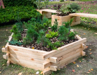 Arazi tasarımı elementleri ahşap kenarlı bir çiçek tarlası şeklinde.