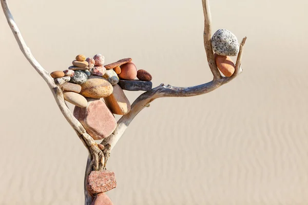 Balance Stones Dry Snag Sand Background Concept Harmony Balance Meditation — Stock Photo, Image