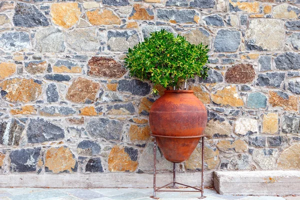 Large Old Terracotta Amphora Used Flower Pot Street Decoration Example — Stock Photo, Image
