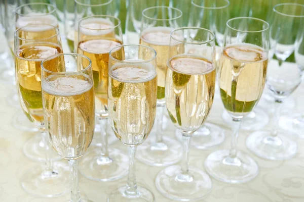许多香槟酒杯放在自助餐桌上 露天派对 软性重点 选择性重点 — 图库照片