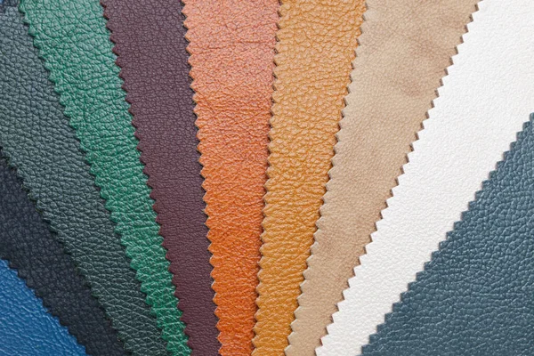 Samples Natural Textured Multi Colored Leather Top View — Stock Photo, Image