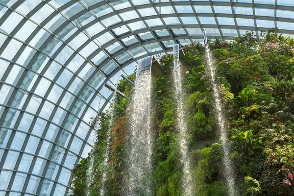 Singapore November 2019 Cloud Forest Dome Gardens Bay Singapore Famous — Stock Photo, Image