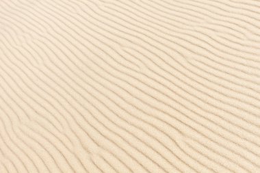 Kumsaldaki kumların dalgalı dokusu. Arkaplan resmi. Üst görünüm