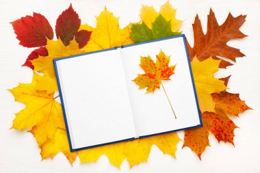 Parlak sonbahar yapraklarının arka planında temiz çarşaflar olan defter. Sonbahar moda konsepti. Düz konum, üst görünüm, kopyalama alanı