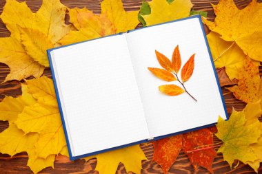 Parlak sonbahar yapraklarının arka planında temiz çarşaflar olan defter. Sonbahar moda konsepti. Düz konum, üst görünüm, kopyalama alanı