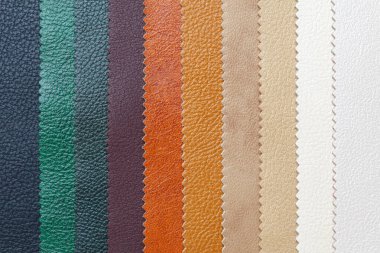 Doğal, dokulu, çok renkli deri örnekleri. Üst görünüm