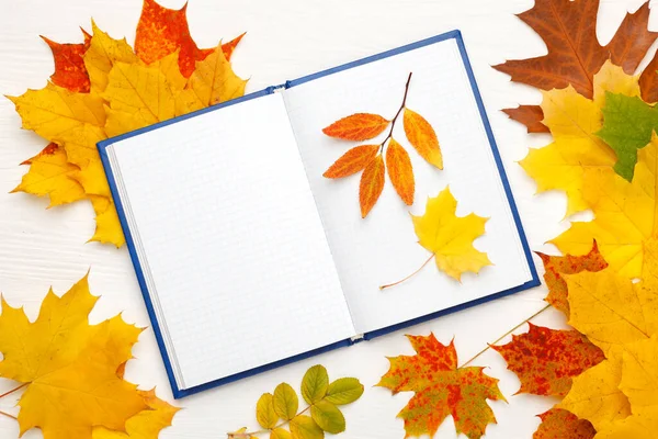 Notebook Clean Sheets Background Bright Autumn Leaves Autumn Mood Concept — Stock Photo, Image