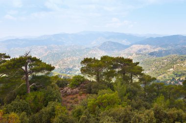 Kıbrıs adasının batı kesimindeki Troodos dağları