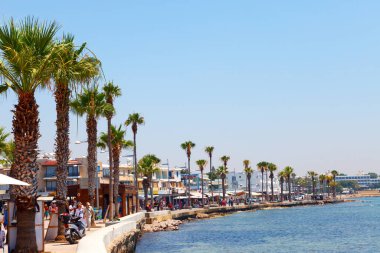 Paphos, Kıbrıs-24 Temmuz 2019: Akdeniz kıyısındaki ünlü Paphos tatil beldesinin güvertesinde palmiye ağaçları.