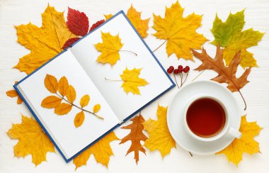 Sarı sonbahar yaprakları, defter ve çay fincanlarının bileşimi. Sonbahar moda konsepti. Düz yatış, üst görünüm