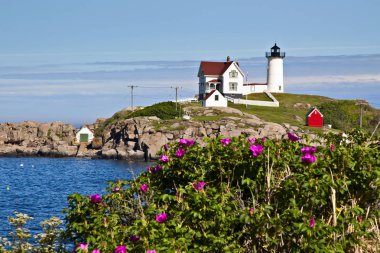 Nubble (Cape NEDDICK) deniz feneri birkaç yüz ayak plaj gül ile bir yaz gününde Maine'de kaplı kıyıya uzak yatıyor. Beacon ülkenin en çok fotoğrafı çekilen fenerler biridir.
