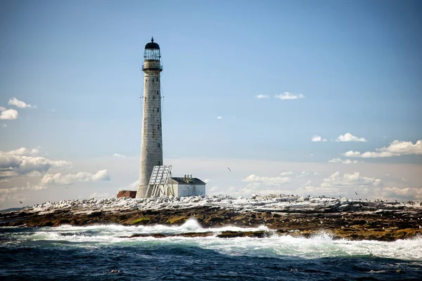Boon Island deniz feneri, Maine 'de bir yaz günü sular çekildiğinde. New England 'daki en yüksek deniz feneridir ve küçük kayalık bir çıkıntının üzerindedir..