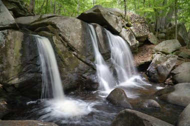 Townsend, Massachusetts 'teki Willard Brook Eyalet Ormanı' ndaki Trap Falls 'da çağlayan şelaleler. En sevilen New England eğlencesi.